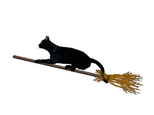 black cat on a broom